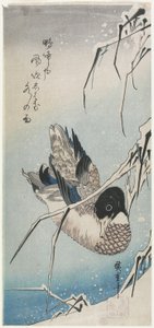 (Ankka ja luminen ruoko), 1830-luvun alku