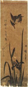 (Iris ja Kingfisher), 1830-1858