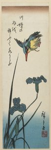 (Iris ja Kingfisher), 1843-1847