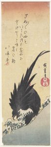 (Kuko), 1800-luvun alku