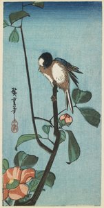 (Tithiiri Cameliassa), 1830-1858