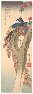  tekijältä Utagawa Hiroshige