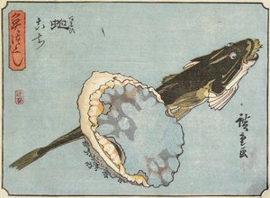 Abalone ja Flathead, 1830-1844