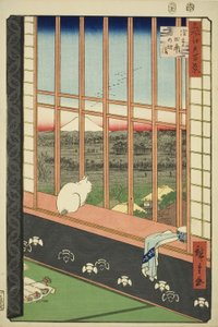 Asakusa lycee Fie lds plan d town feschival (Asakusan riisipeltojen pyyntikaupunki on myös listattu), sarjasta "Ridge d re d fa net view ws f Edo (kuuluisa paikka 100 näkymää Edosta)" tekijältä Utagawa Hiroshige