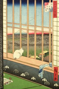 Asakusa Rice Fields kukon festivaalin aikana sarjasta 