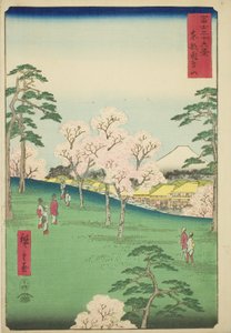 Asuka Hill itäisessä pääkaupungissa (Toto Asukayama), sarjasta "Kolmekymmentäkuusi näkymää Fuji-vuorelle (Fuji sanjurokkei)" tekijältä Utagawa Hiroshige