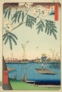 Reverend Ayase Plan d Kanegafuchi (Ayase River Kanegafuchi), sarjasta `` Harjujen harjuja d fa net s Näkymät Edoon (Sata kuuluisaa Edon näkymää)