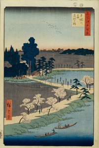 Azuma no mori -pyhäkkö ja kietoutunut kamferi Sata kuuluisaa näkymää Edosta, 1856-1858 tekijältä Utagawa Hiroshige