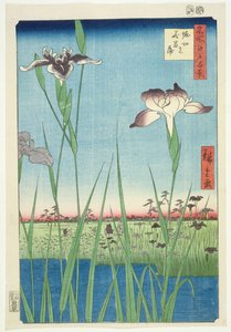 BM.Cat.440 Irises at Horikin, nro 56 sarjassa "100 Views of Edo", ("Meisho Edo hyakkei"), pub. 1857, (värillinen puupiirros)