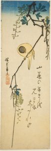Lintu silkkisellä wisterialla tekijältä Utagawa Hiroshige