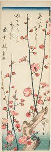 Kukkivat luumun oksat tekijältä Utagawa Hiroshige