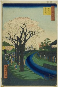 Kukkia Tama-joen rantakadulla (Tamagawa-zutsumi no hana), sarjasta "Sata kuuluisaa näkymää Edosta (Meisho Edo hyakkei)". tekijältä Utagawa Hiroshige