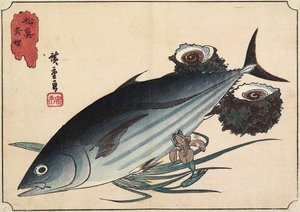 Bonito ja Top Shells, 1800-luvun alku