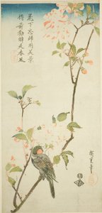 Bullfinch aronia oksalla tekijältä Utagawa Hiroshige