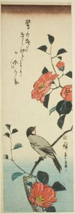 Kamelian kukkia ja härkävarsi tekijältä Utagawa Hiroshige