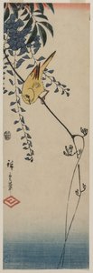 Kanaria ja Wisteria tekijältä Utagawa Hiroshige