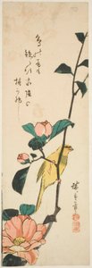 Kanaria ja kameliat tekijältä Utagawa Hiroshige