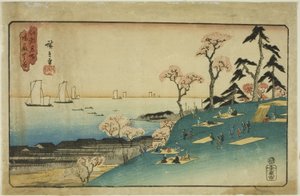 Cherry Blossoms at Goten Hill (Gotenyama no hana), sarjasta "Famous Places in Edo (Koto meisho)" tekijältä Utagawa Hiroshige