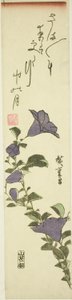Kiinan kellokukkia tekijältä Utagawa Hiroshige