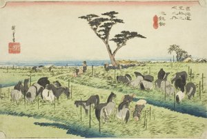 Chiryu: Early Summer Horse Market (Chiryu, shuka uma ichi), sarjasta "Fifty-three Stations of the Tokaido (Tokaido gojusan tsugi no uchi)," tunnetaan myös nimellä Hoeido Tokaido tekijältä Utagawa Hiroshige