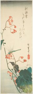 Sudenkorento ja begonia tekijältä Utagawa Hiroshige