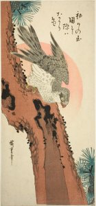 Haukka männyllä nousevan auringon kanssa tekijältä Utagawa Hiroshige