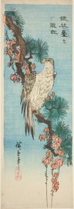 Haukka murattipeitteisellä männyn oksalla tekijältä Utagawa Hiroshige