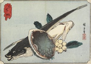 Flathead ja Abalone, 1800-luvun alku