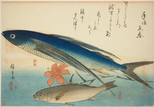 Lentävät kalat ja Ichimochi nimettömästä kalasarjasta tekijältä Utagawa Hiroshige