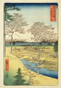 Fuji Yuhi-Gasta, Megwo, No.10 sarjasta 
