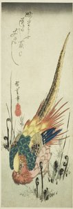Kultainen fasaani ja raukkasaniaiset tekijältä Utagawa Hiroshige