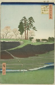 Gotenhi at Shinagawa (Shinagawa Gotenyama), sarjasta tekijältä Utagawa Hiroshige
