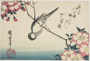 Talitiainen kirsikankukan oksalla tekijältä Utagawa Hiroshige