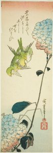 Vihreät linnut ja hortensiat tekijältä Utagawa Hiroshige