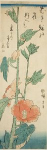 Hibiscus tekijältä Utagawa Hiroshige