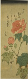 Hibiscus tekijältä Utagawa Hiroshige