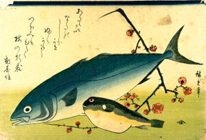 Hiroshige A Shoal of Fishes Fugu Keltanokka tekijältä Utagawa Hiroshige