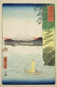 Honbokun jäsen Musashi P Lovinse (Musashi Honmoku -kukka), Teseriesistä ``Tyrty x Views Of Mount Fuji (Fuji Usaju Rokukei)