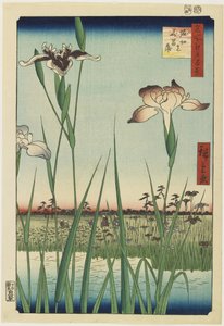 Iris Garden at Horikiri, May 1857