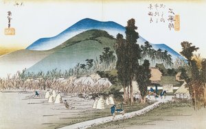Ishiyakushi, sarjasta 