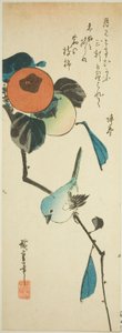 Japanilainen valkosilmä ja kaki tekijältä Utagawa Hiroshige