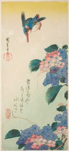 Kingfisher ja hortensia tekijältä Utagawa Hiroshige