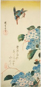 Kingfisher ja hortensia tekijältä Utagawa Hiroshige