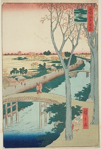 Koume Embankment (Koumezutsumi), nro 104 sarjasta "Sata kuuluisaa näkymää Edosta (Meisho Edo hyakkei)". tekijältä Utagawa Hiroshige