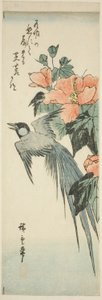 Pitkähäntälintu ja hibiscus tekijältä Utagawa Hiroshige