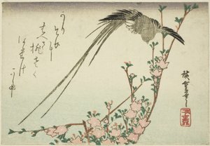 Pitkähäntälintu ja persikankukkia tekijältä Utagawa Hiroshige