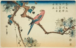 Ara männyn oksalla tekijältä Utagawa Hiroshige
