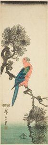 Ara männyn oksalla tekijältä Utagawa Hiroshige