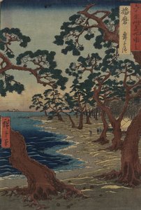 Maiko Beach Hariman maakunnassa joulukuussa 1854