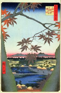 Maple Trees at Mam, Tekona Shrine and Linked Bridge, levy 94 sarjasta Sata näkymää Edosta, Edo Period, Ansei Era, 1857 (puupainatus) tekijältä Utagawa Hiroshige